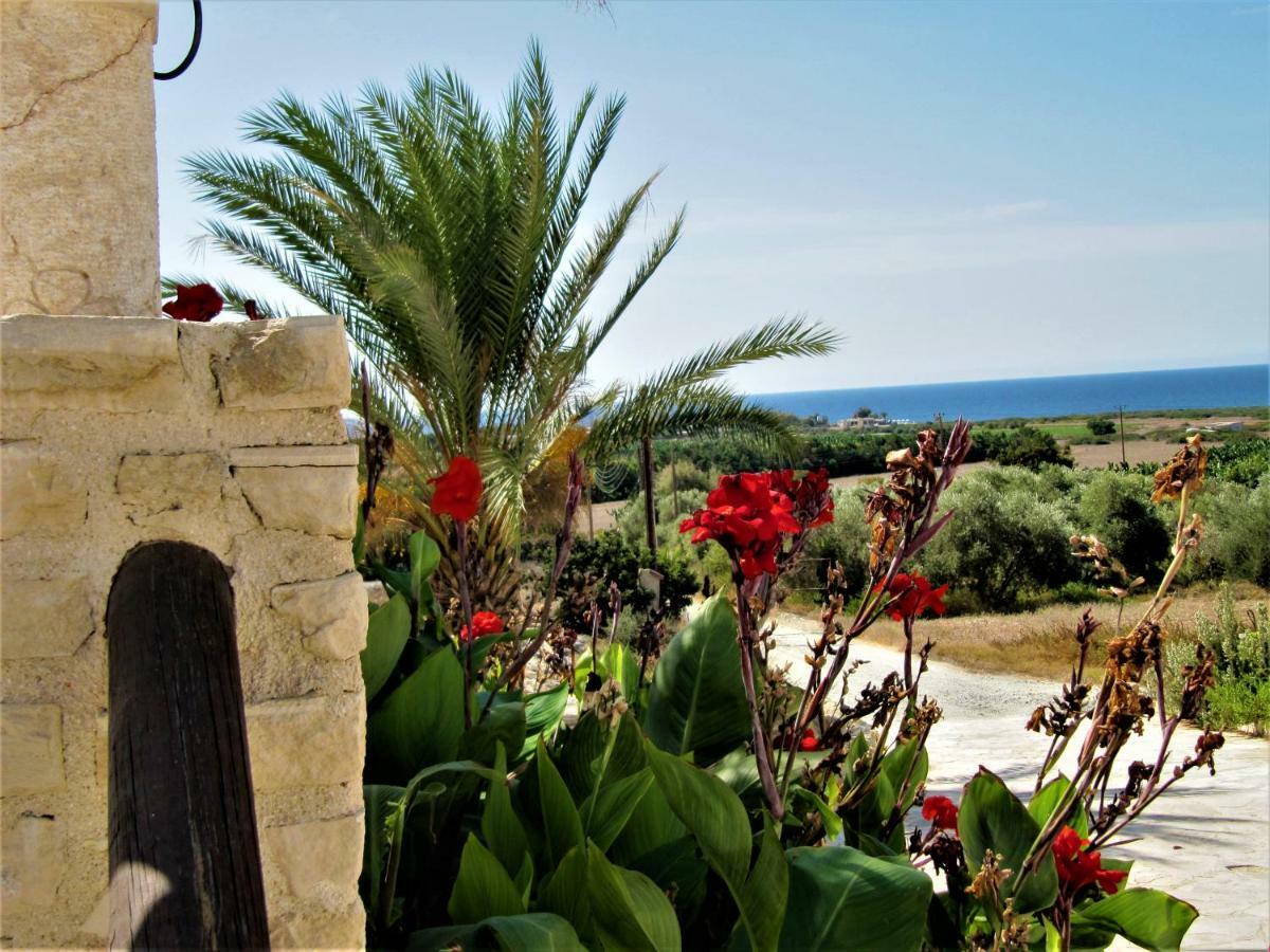 Villa Dioni Корал-Бэй Экстерьер фото
